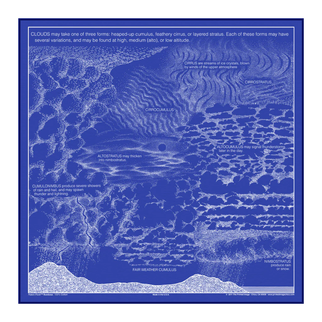 The Printed Image - Bandana - Songbirds - Image 7