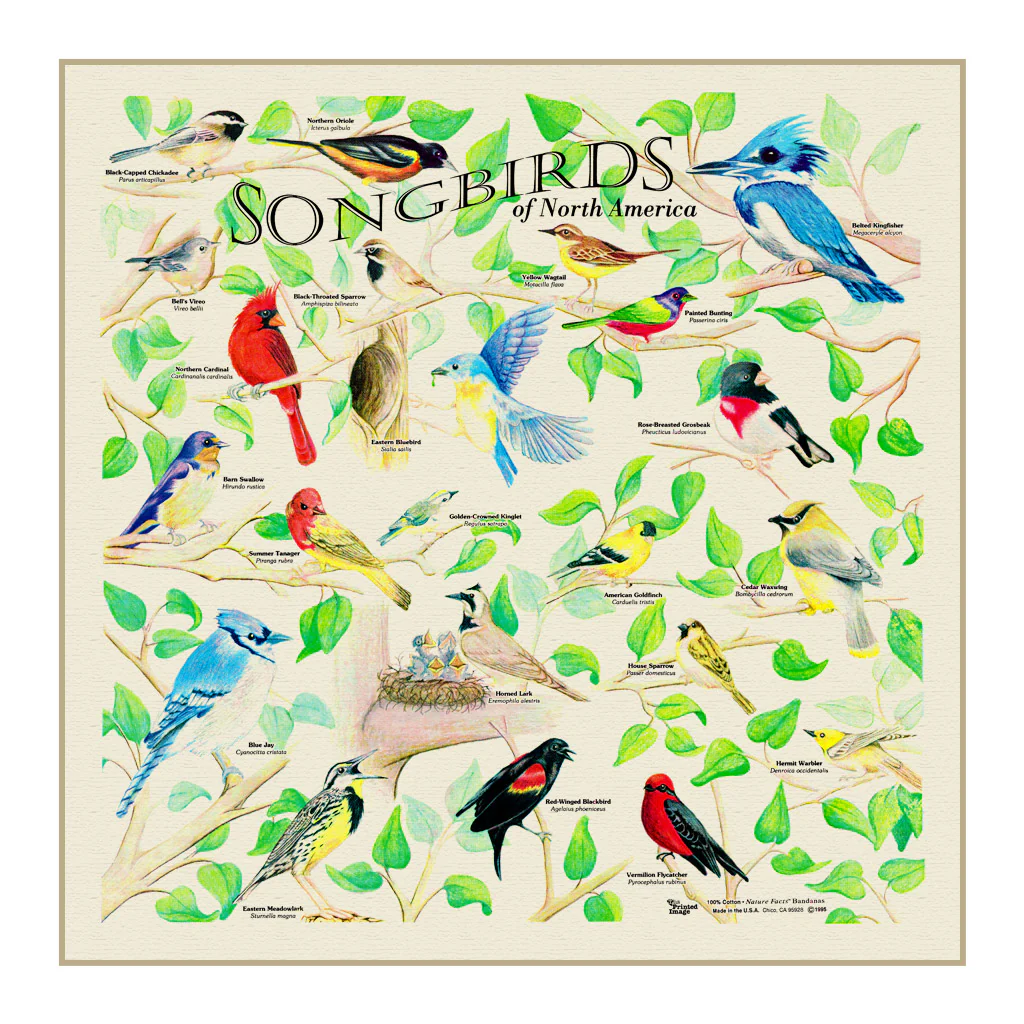 The Printed Image - Bandana - Wildflowers - Image 11