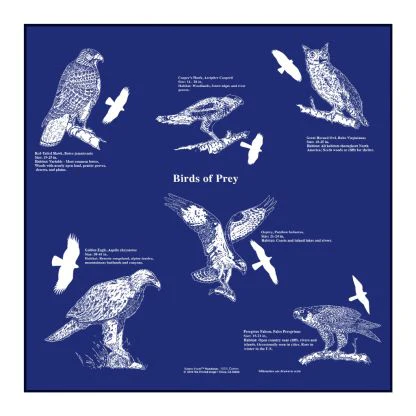 The Printed Image - Bandana - Wildflowers - Image 14