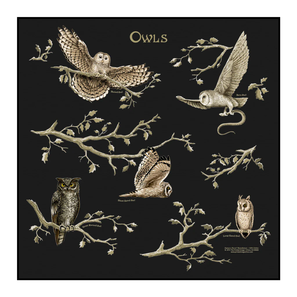 The Printed Image - Bandana - Wildflowers - Image 6