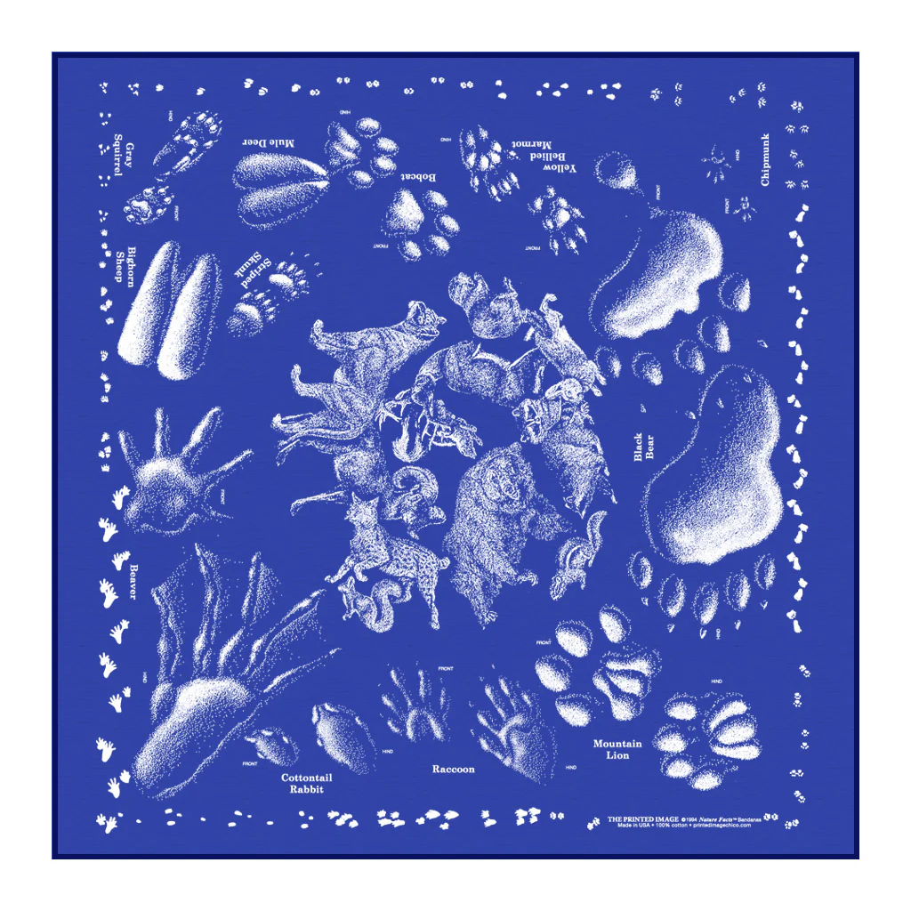 The Printed Image - Bandana - Wildflowers - Image 9