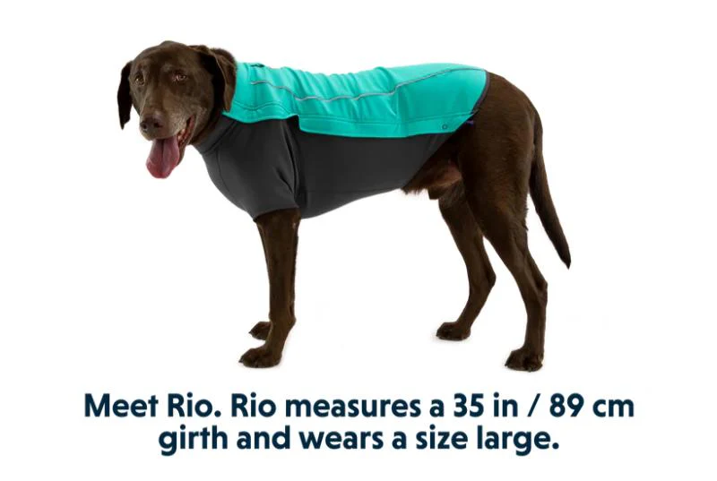 Ruffwear - Cloud Chaser Jacket - Aurora Teal - Image 8