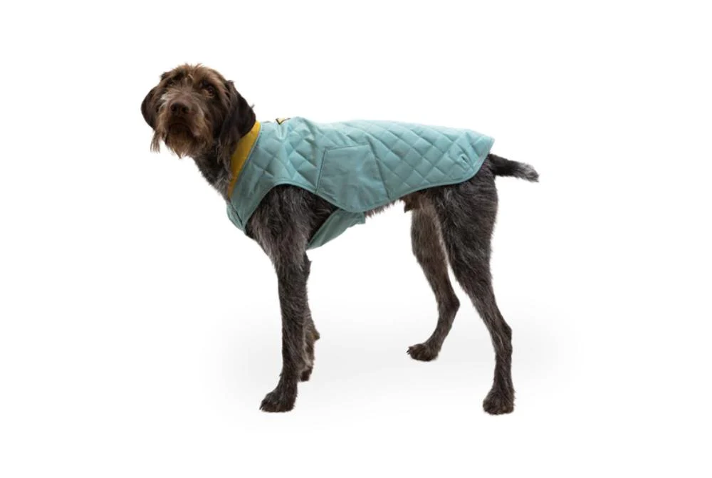 Ruffwear - Stumptown Jacket - Orion Blue - Image 4